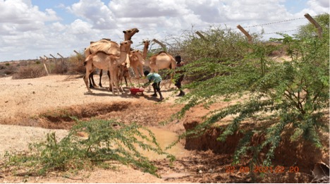 garissa