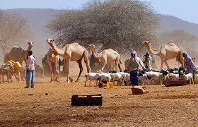 mandera