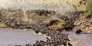 narok