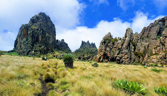nyeri