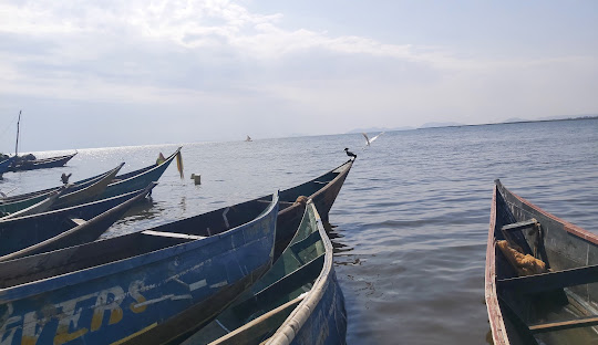 siaya